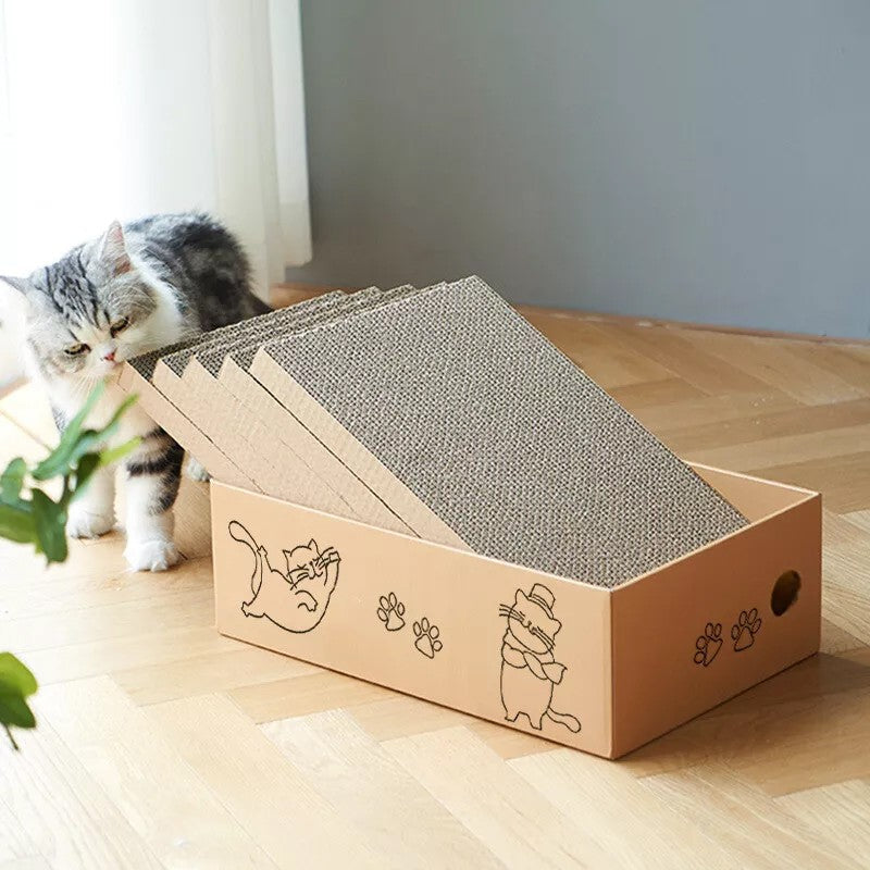 Cat beside a corrugated cardboard scratcher lounge box