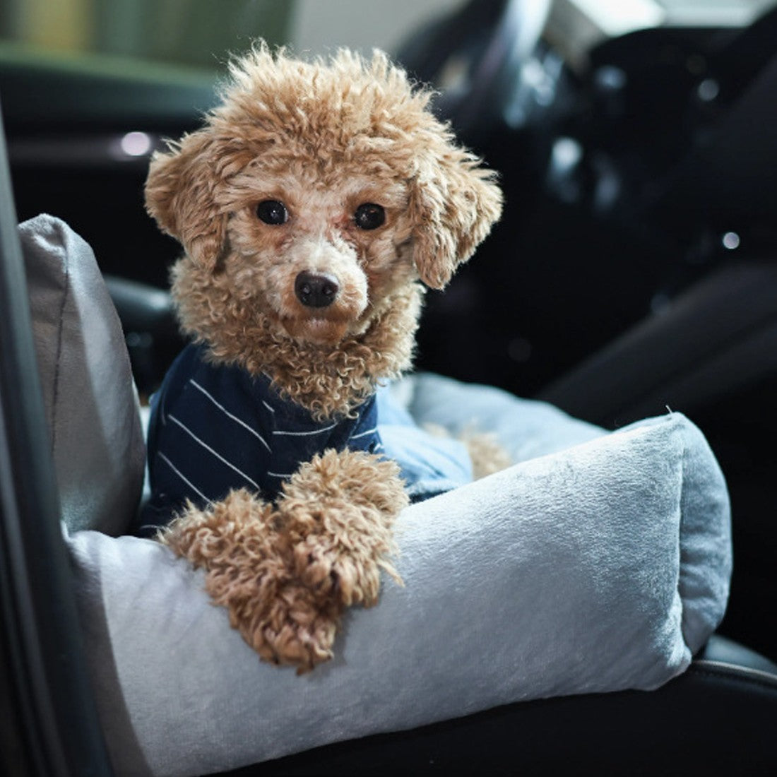 Grey plush dog car booster seat with a safety tether