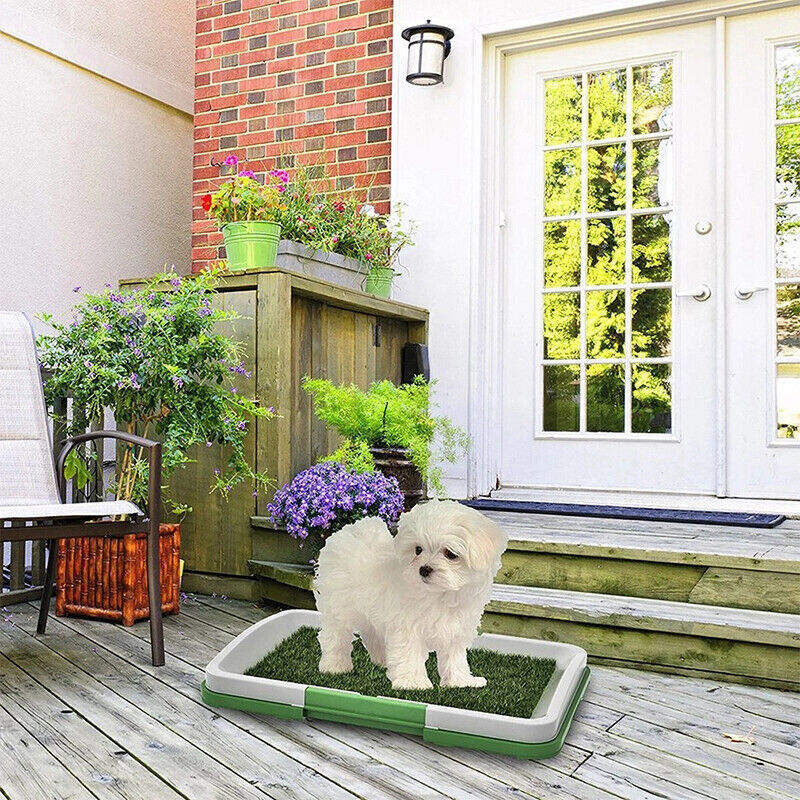 Indoor dog toilet training mat with a grass pad and tray