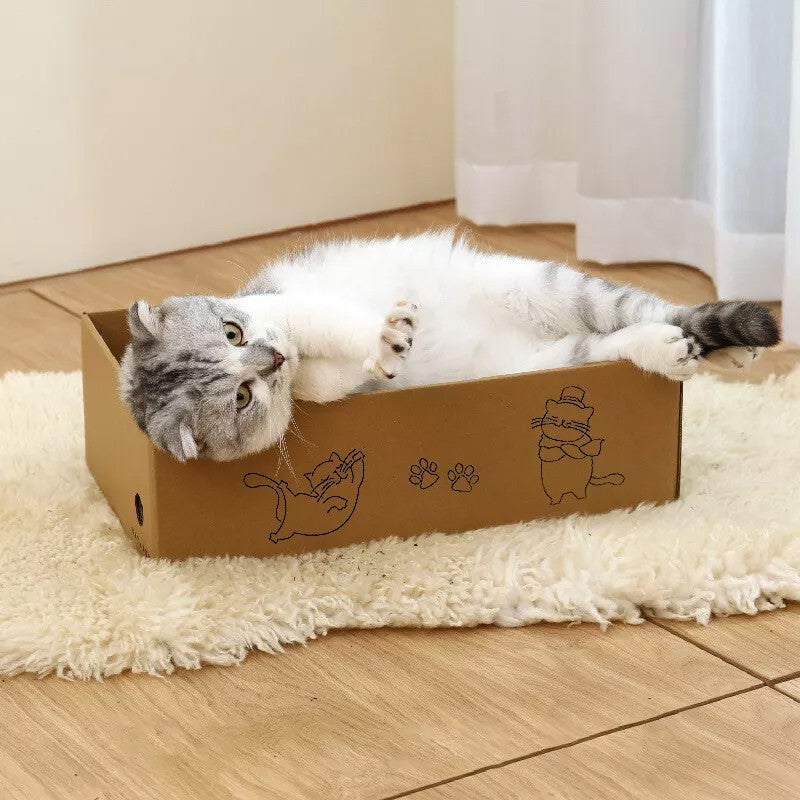 Corrugated cardboard cat scratcher lounge box