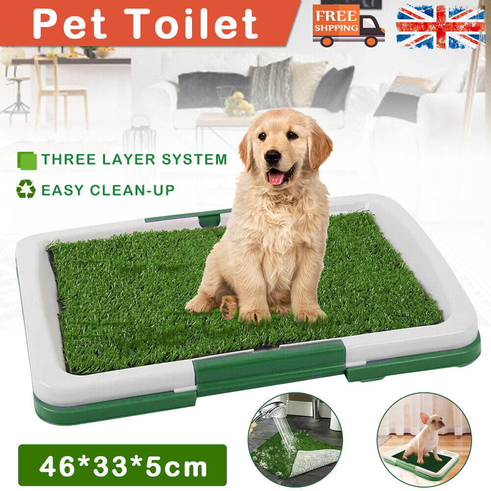 Indoor dog toilet training mat with a grass pad and tray