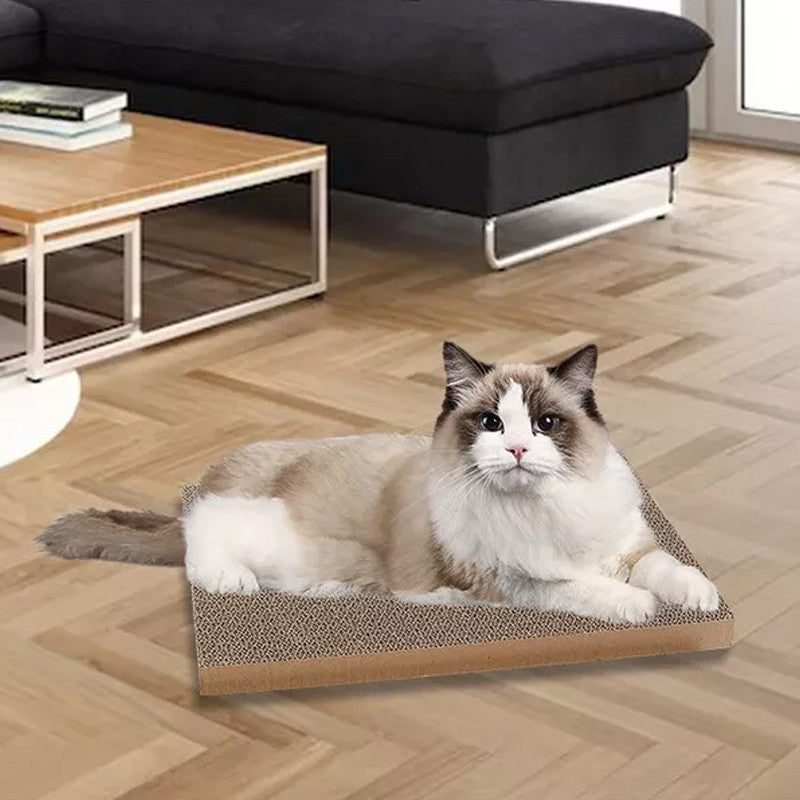 Corrugated cardboard cat scratcher lounge box