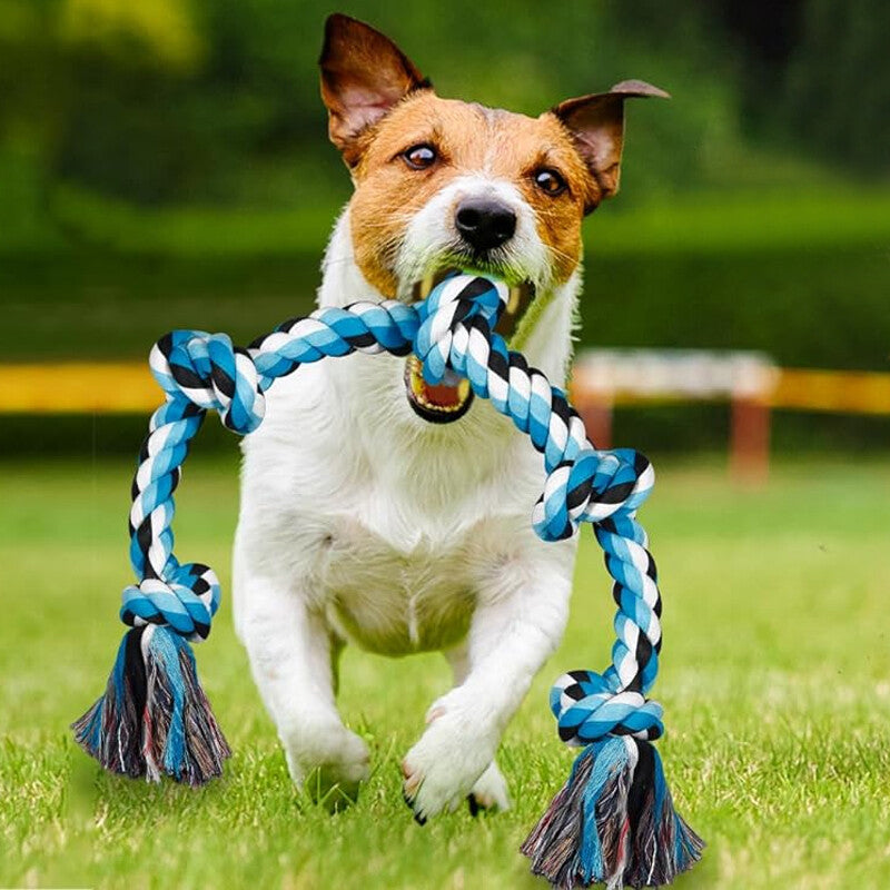 XXL rope tug and chew toy for large dogs